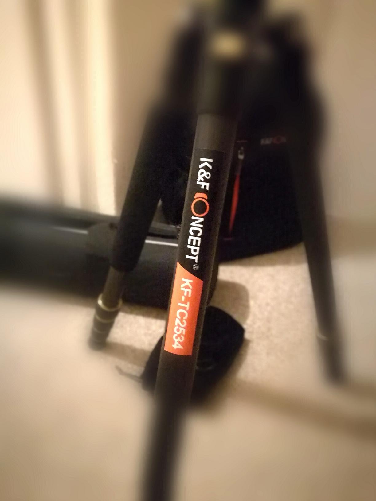 あらゆる点で例外的な